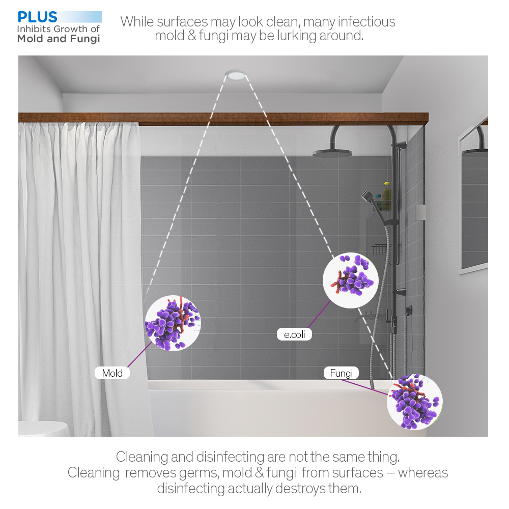 using-uv-light-to-kill-mold-at-john-galloway-blog